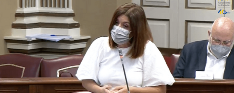 Carmen Hernández, en una intervención en el Parlamento de Canarias (Foto TA)